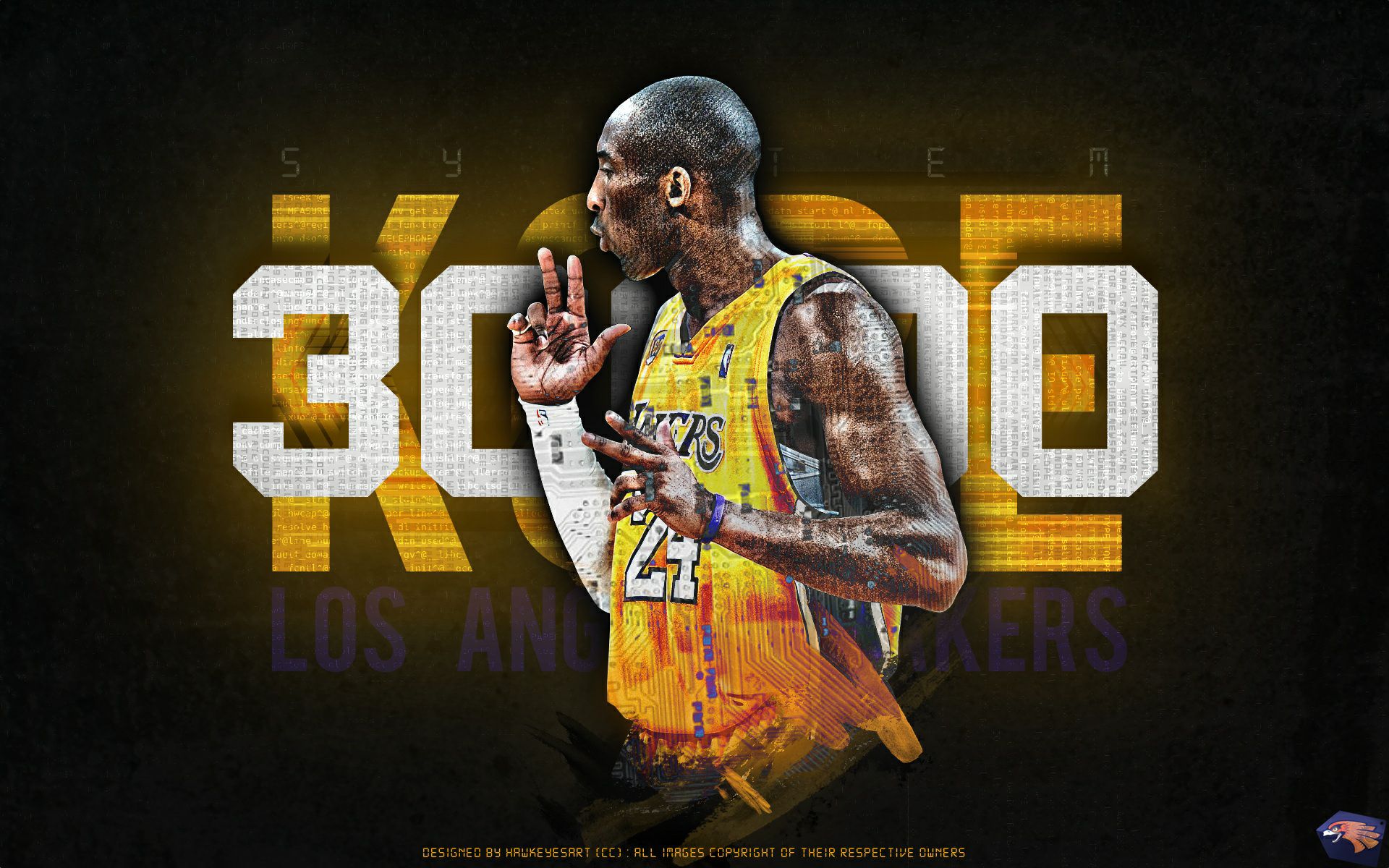 侧翼的定点 侧翼的定点